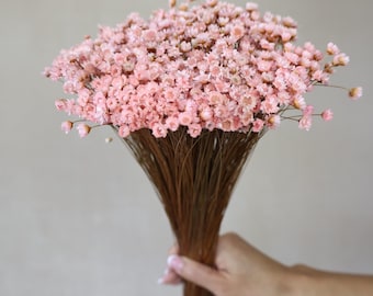 Pink Dried star flowers, Dried Flowers, Wedding flowers, Flower bouquets, Home decor 12” tall