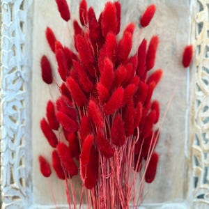 Lagurus Flower Bush, Dried Flowers, Wedding Flowers, Bunny tails flowers, Gift, Wedding Bouquet, Bridal Bouquet, Home Decor, Grass