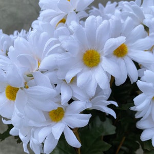 White Daisy Silk Flower Bush, Artificial, Faux, Silk Wedding Flowers 19 Tall image 6
