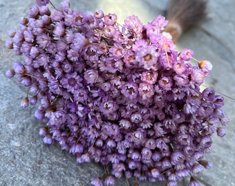 Lavender Dried star flowers, Dried Flowers, Wedding flowers, Flower bouquets, Home decor 12” tall