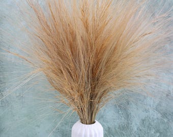 Natural Rainbow Grass Bundle, Dried grass, Dried Flowers, Filler Flowers, Wedding Flowers