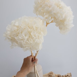 Hydrangea Flowers, Preserved Hydrangeas, Dried Flowers, Everlasting Flowers, Home Decor, Wedding Flowers, Dried Hydrangea, Gifts