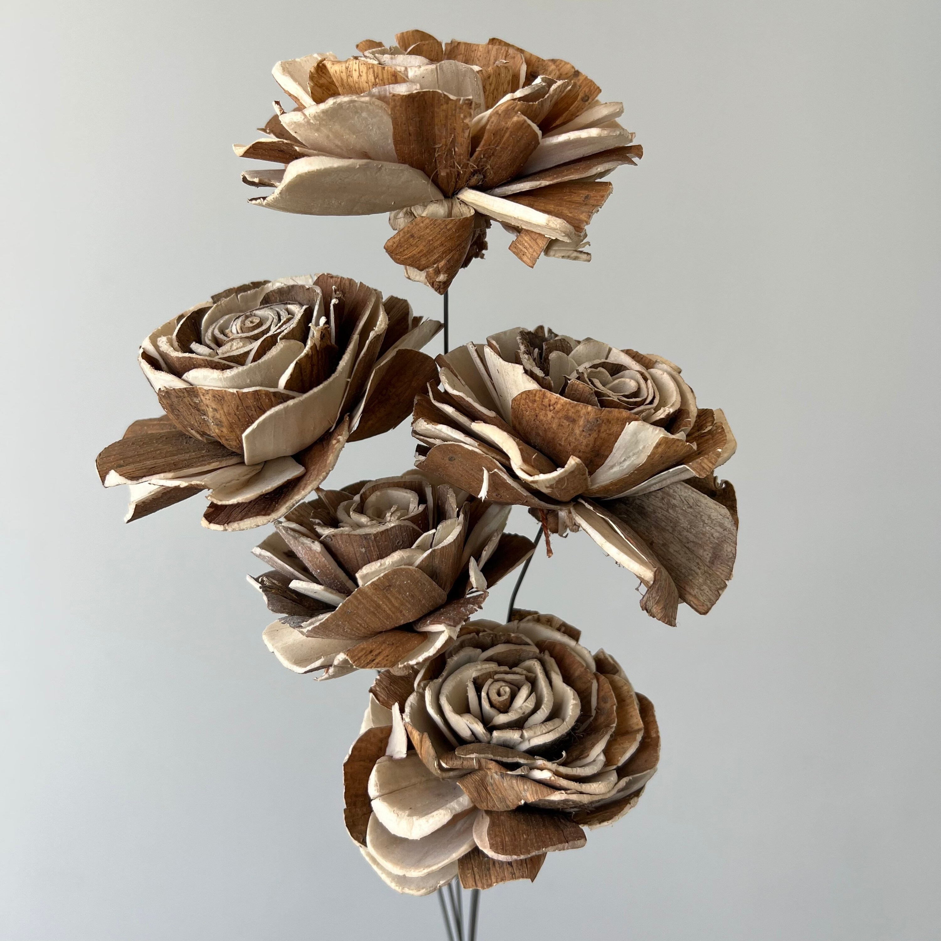 Sola Roes Flowers Sola Stems Sola Wood Flowers Sola Etsy