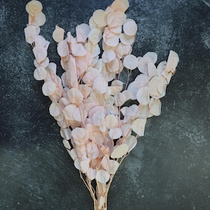 Preserved Eucalyptus Bush, Silver Dollar Eucalyptus, Dried Eucalyptus, Eucalyptus, Wedding Decor, Dried Flowers, Gift, Home Decor