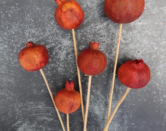 Dried Pomegranate Stems