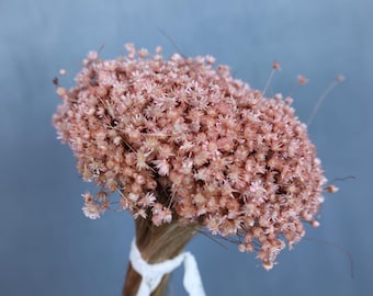 May include: A bouquet of dried pink flowers with long stems. The flowers are small and delicate, and they are arranged in a loose, natural style.