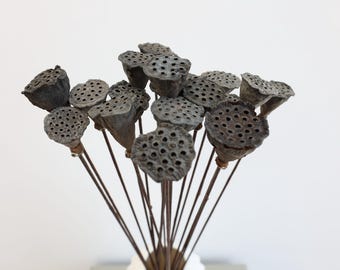 May include: A bouquet of dried lotus pods with brown stems. The pods are gray and have a honeycomb pattern.