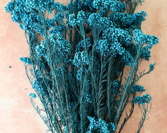 Teal Rice Flowers, Dried flowers, dried flower filler, filler, home decor, gifts, wedding flowers, flowers