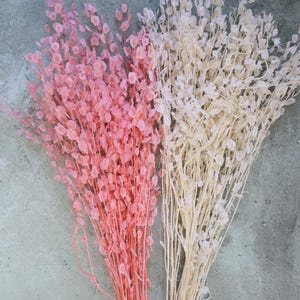 Mini Lunaria, Silver Dollar, Silver Dollar, Dried Flowers, Home Decor, Wedding Flowers, Wedding bouquets, Money Plants, Dried Honesty