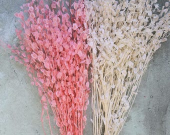 May include: Two bunches of dried flowers, one pink and one white, with small round flower heads. The flowers are arranged in a bouquet and are against a gray background.