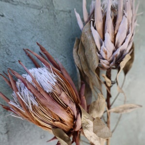 Dried Protea King Flowers, Dried Flowers, Wedding flowers, Home decor, Bridal bouquet, bridesmaids bouquets, Dried Protea Flowers, Gift