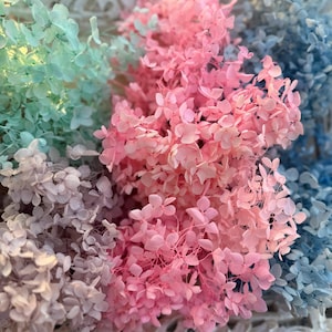 Preserved Hydrangea Flowers, Hydrangeas, Dried Flowers, Everlasting Flowers, Home Decor, Wedding Flowers, Dried Hydrangea