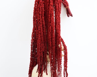 Deep Red Amaranthus Hanging Preserved
