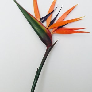 Bird of Paradise Flower, Artificial, Faux, Tropical Flower 36 Tall image 6