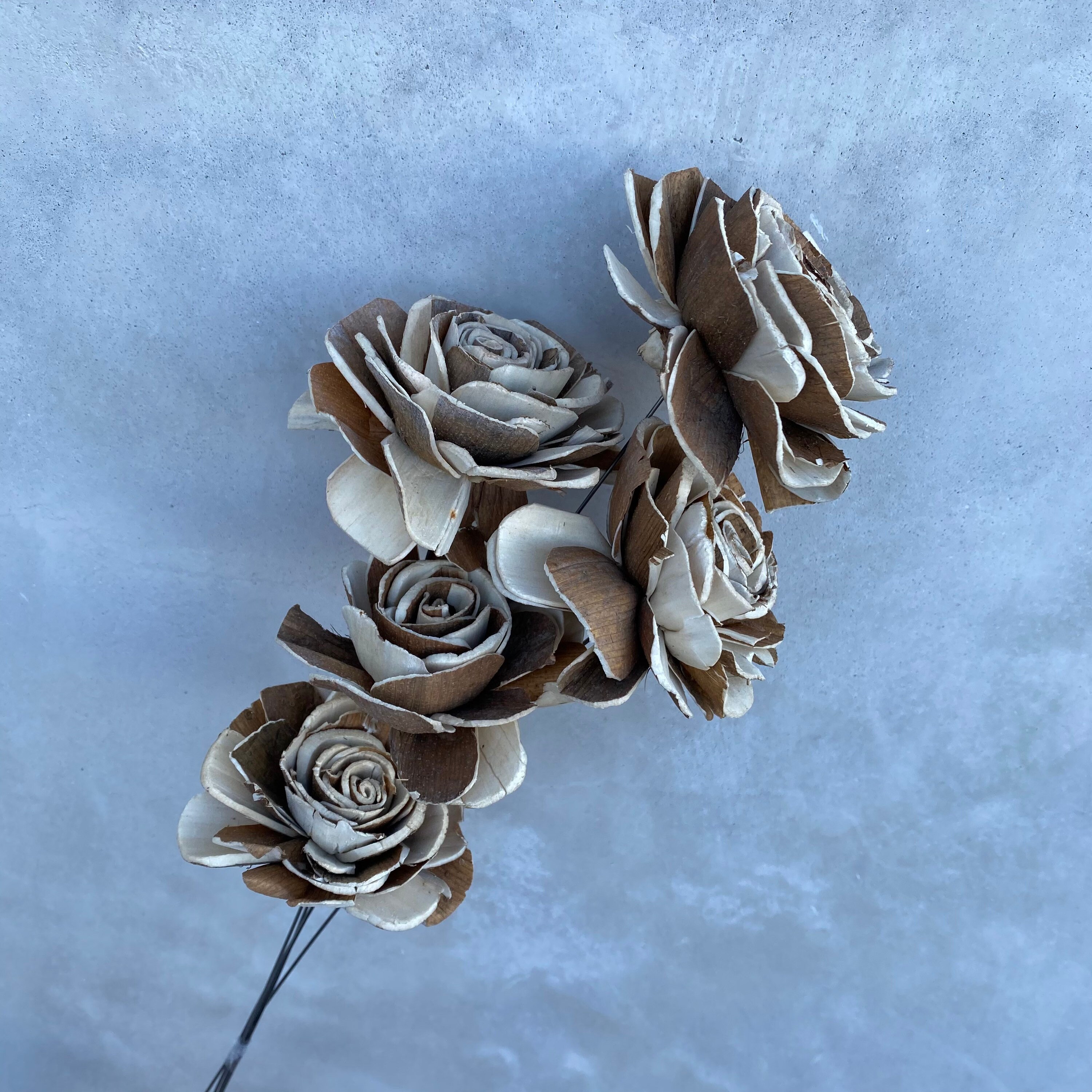 Sola roes Flowers sola stems sola wood flowers sola Etsy