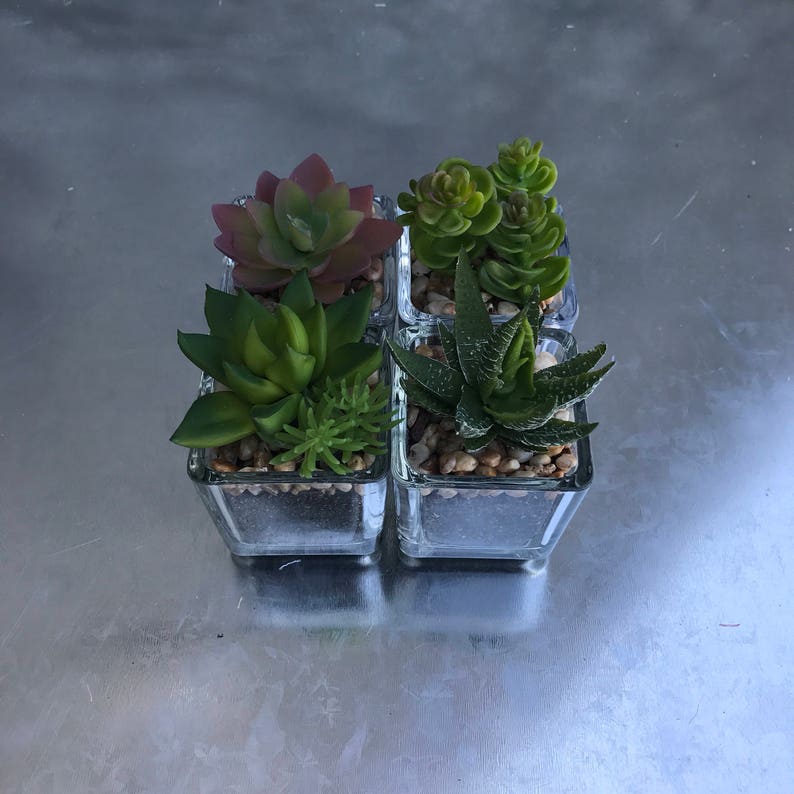 Faux Desert Plants Succulent Plants Wedding Flowers Home Etsy
