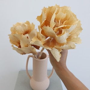 Dried King Flowers, Dried Flowers, Dried Hakea Victoria, Wedding flowers, Home decor, Bridal bouquet, Dried Protea Flowers, Gift, Bleached