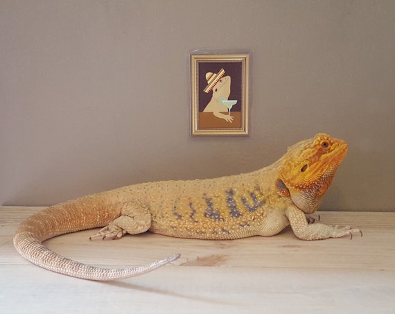 Bearded Dragon Drinking Margarita Tank Decor Funny Lizard Etsy