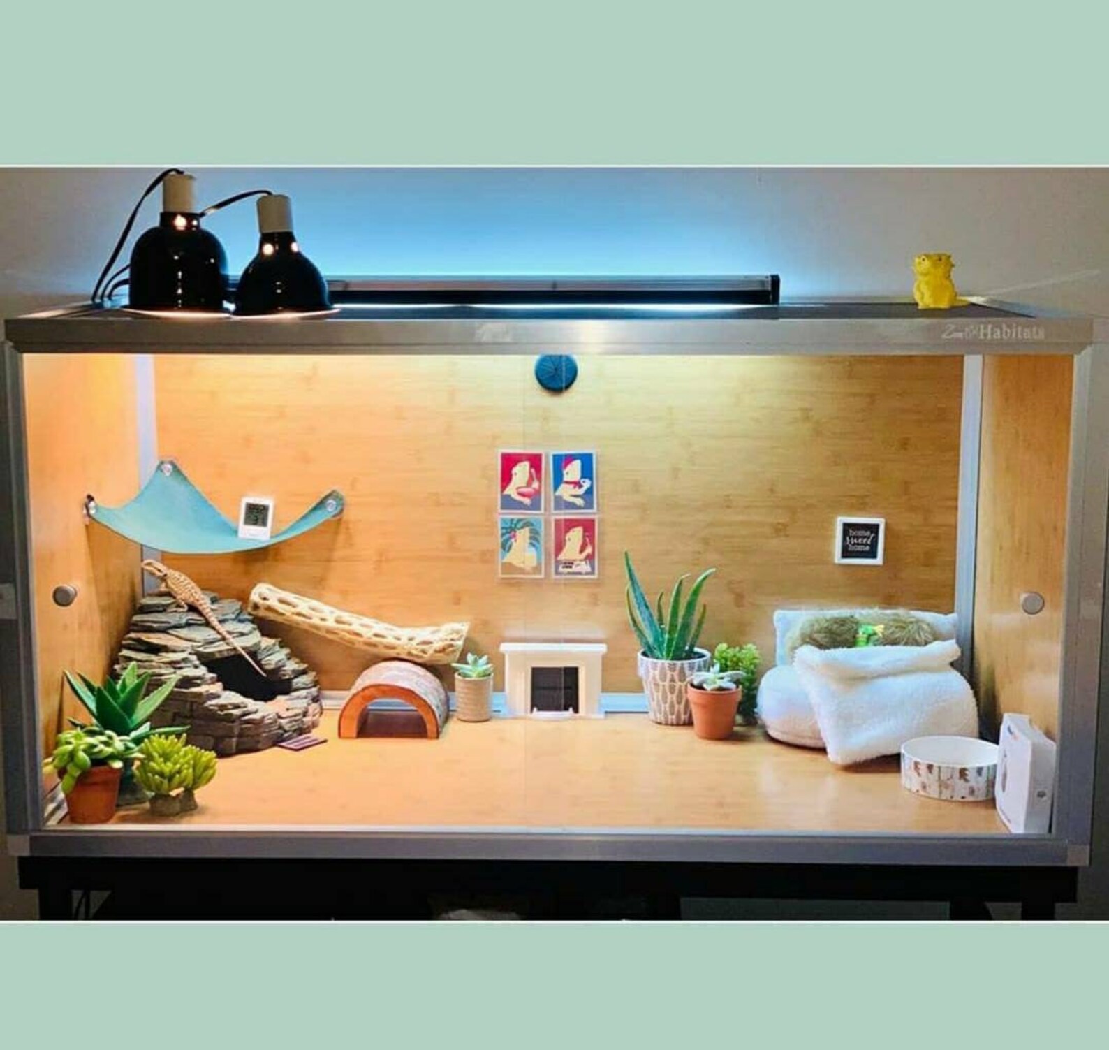 Bearded Dragon Reading a Book 3x4 Tank Decor Cute Reptile Etsy