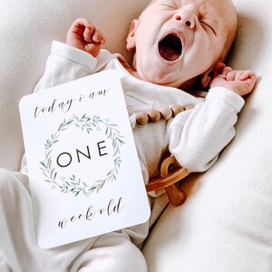Evergreen Baby Milestone Cards Unisex Gender Neutral Newborn Baby Keepsake Baby Shower Gift My First Year Baby Boy Baby Girl image 8