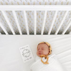 Evergreen Baby Milestone Cards Unisex Gender Neutral Newborn Baby Keepsake Baby Shower Gift My First Year Baby Boy Baby Girl image 7