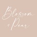 BlossomAndPear store logo