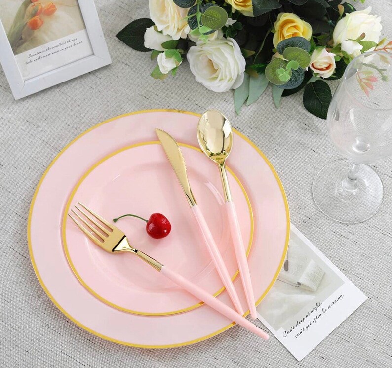 Disposable Pink Plastic Dinnerware 120 Piece Set 24 of Each Etsy