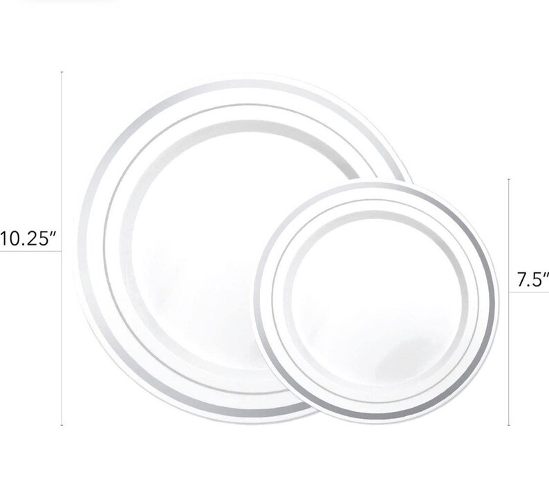 Disposable Plastic Dinnerware Set Silver Rim 200 Pieces Etsy