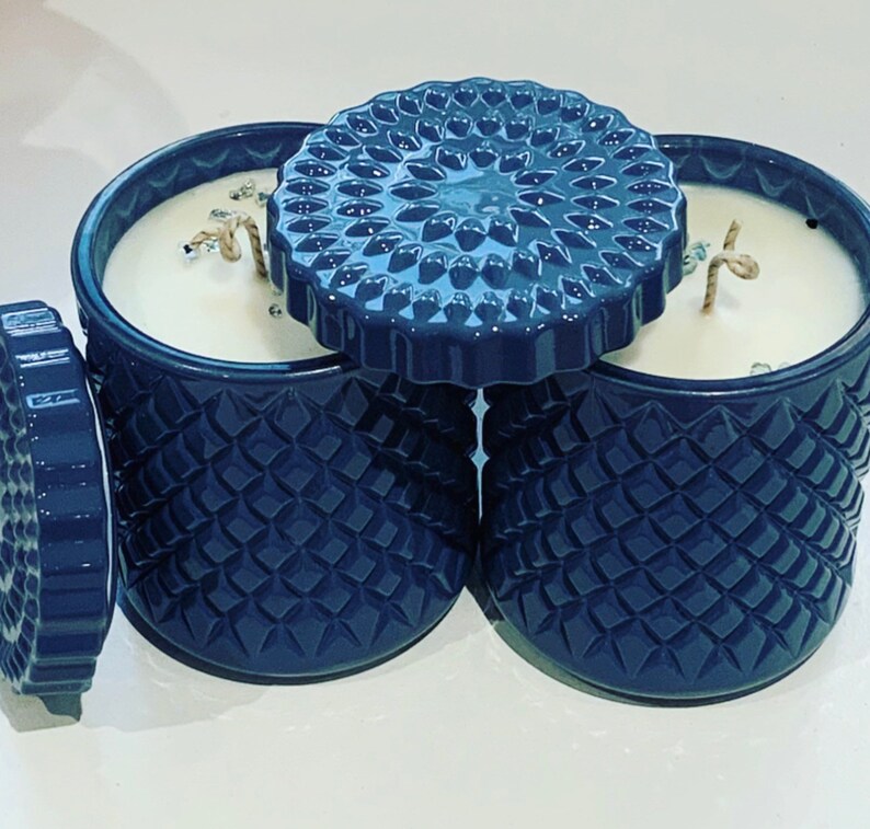 Blueberry /& Vanilla fragranced Candle
