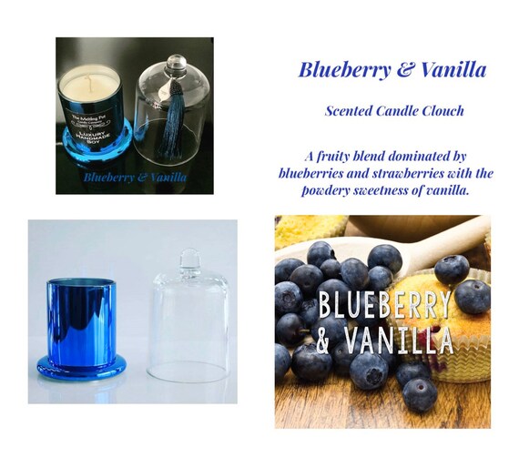 Blueberry /& Vanilla fragranced Candle