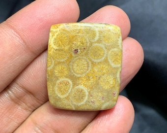 Naturalny kaboszon w kształcie poduszeczki z koralowca kopalnego, kaboszon z koralowca kopalnego, 32×27×6 mm