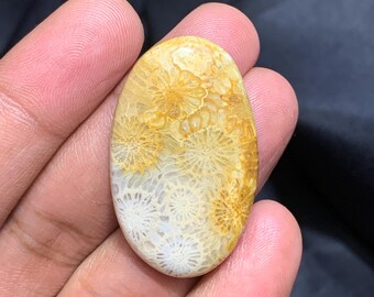 Naturalny skamieniały koralowiec w kształcie owalu, kaboszon z koralowca kopalnego, 41×26×6 mm