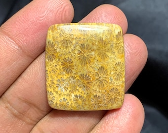 Naturalny kaboszon w kształcie poduszeczki z koralowca kopalnego, kaboszon z koralowca kopalnego, 31×28×5 mm