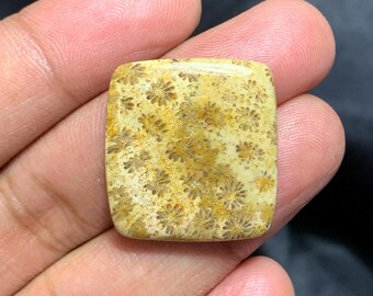 Naturalny kaboszon w kształcie poduszeczki z koralowca kopalnego, kaboszon z koralowca kopalnego, 26×25×5 mm