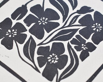 Poppy - Flora Series