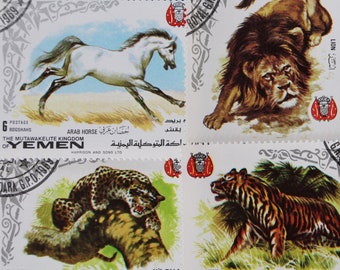 Arabischer Lowe Etsy
