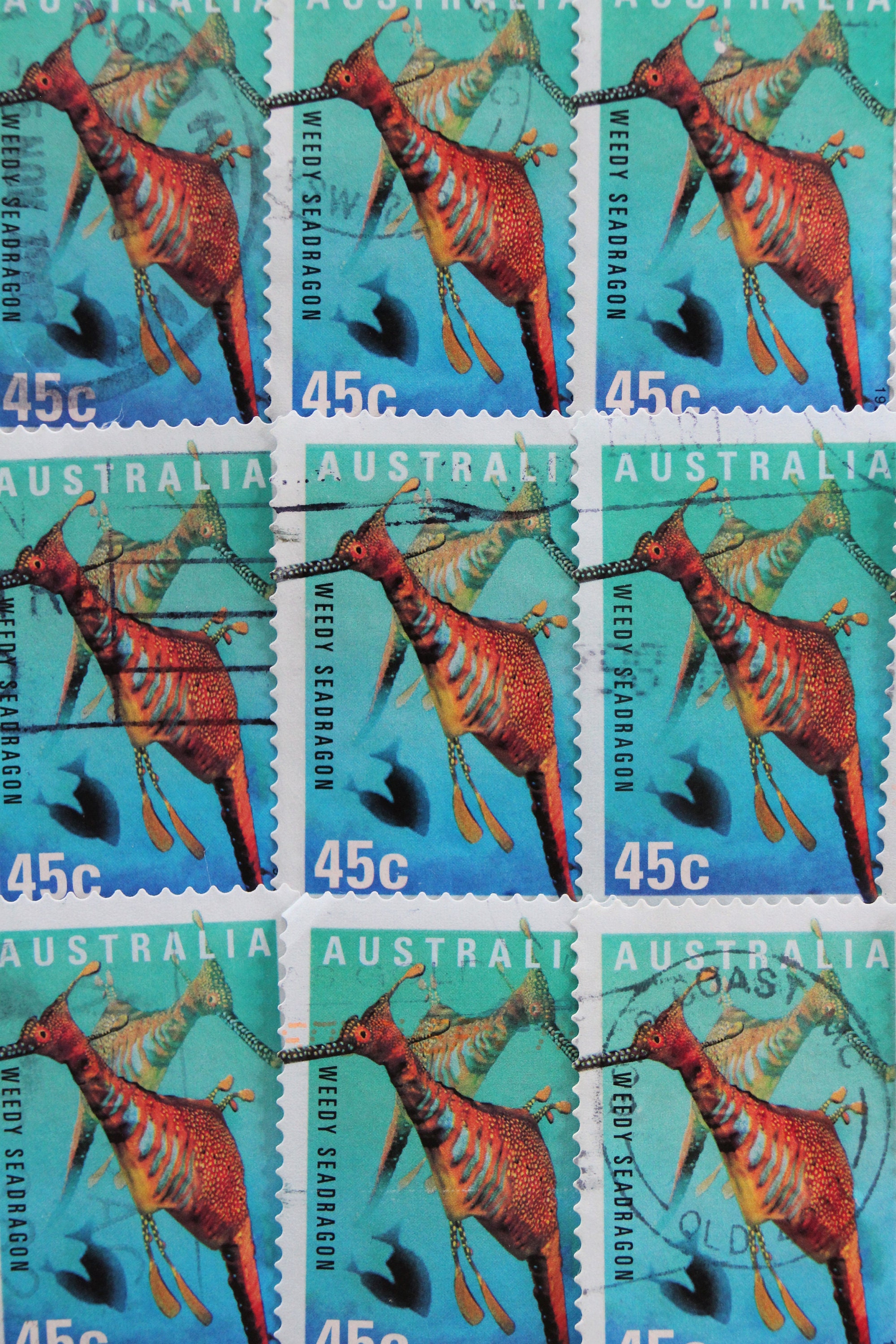 Weedy Seadragon Postage Stamp Lot // Australia 1998 Sellos Etsy