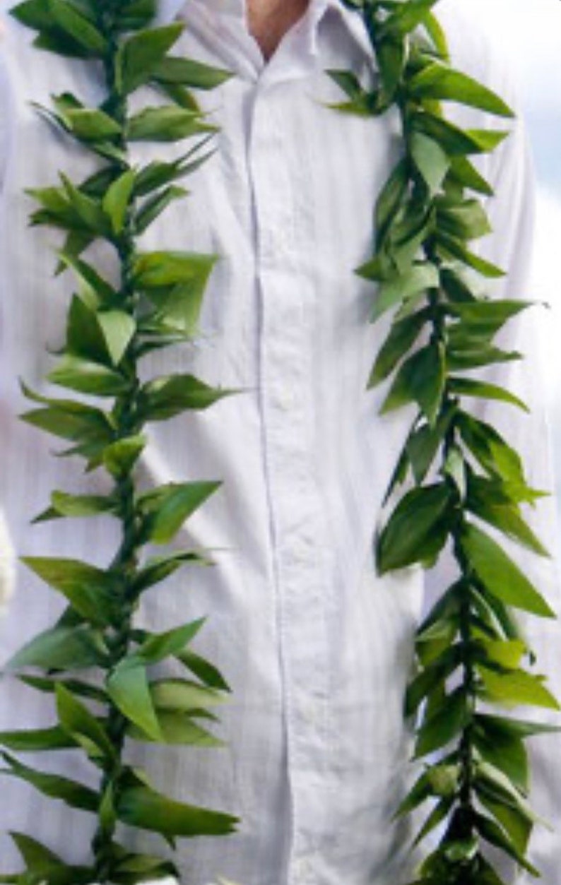 May include: A white button-down shirt with a green lei made of leaves around the neck.