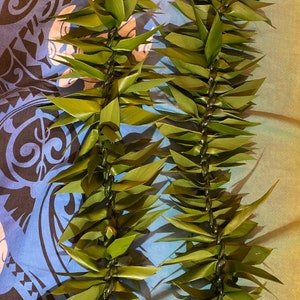 May include: A green lei made of woven leaves, a traditional Hawaiian garland.