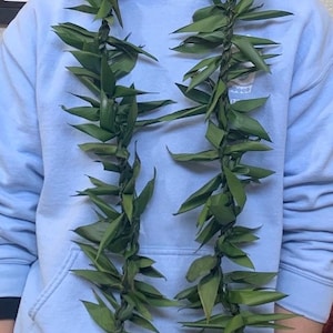 Ali'i (Royalty) echte, verse DOUBLE Ti Leaf Lei