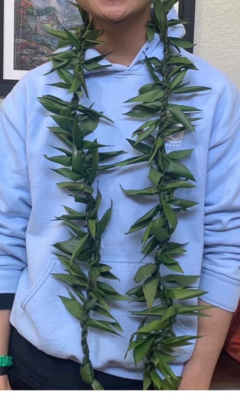 May include: A person wearing a light blue hoodie with a green lei made of leaves around their neck.