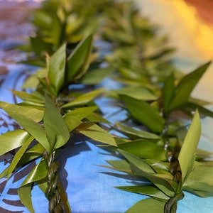May include: A green lei made of woven leaves, a traditional Hawaiian garland.