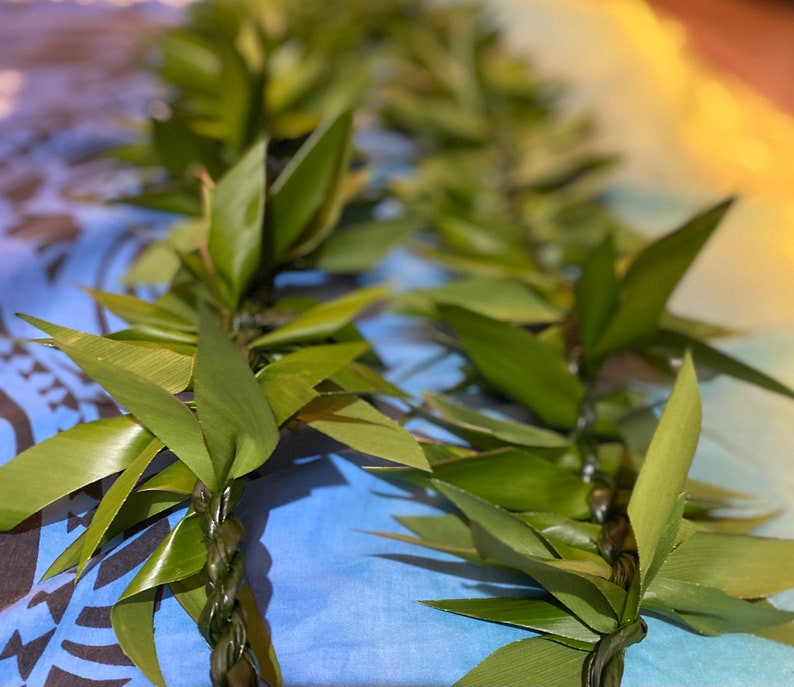 May include: A green lei made of woven leaves, a traditional Hawaiian garland.