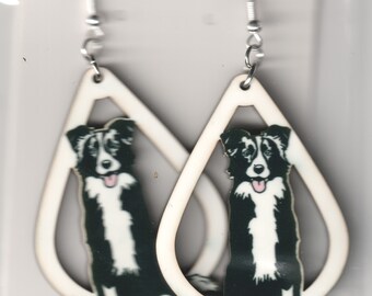 border collie earrings