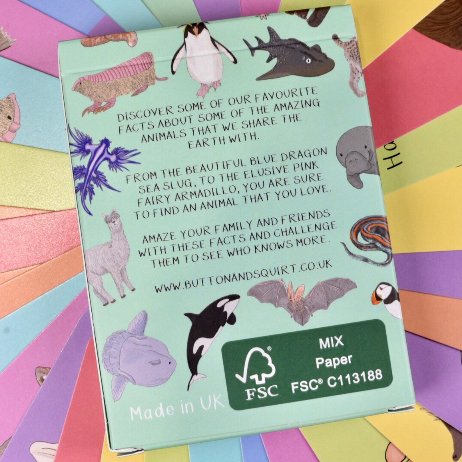 Amazing Animals Fact Cards Set 1 Learn Through Play | Etsy
