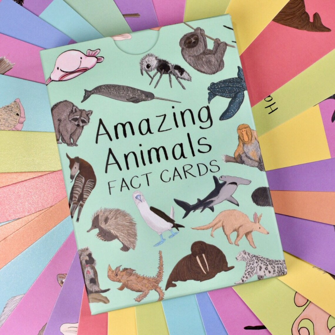 Amazing Animals Fact Cards Set 1 Learn Through Play Education Flash ...