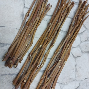 May include: A bundle of brown vine branches with white markings. The branches are arranged in a criss-cross pattern.