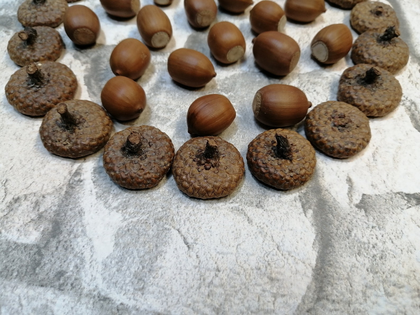 On Sale Natural Acorns 21 Dried Acorns WITH 19 Caps for Etsy