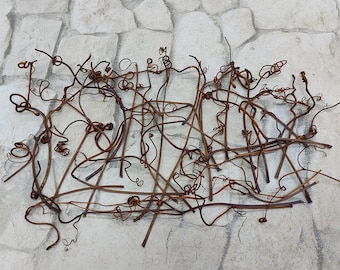 Grapevine Tendrils: 24 Pack Dried Curly Twigs for Fairy Houses & Wine Decor