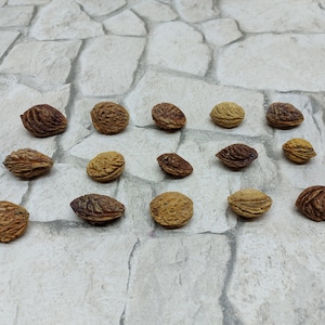 15 Black Sea Peach Pits: Driftwood Kernels for Wreaths